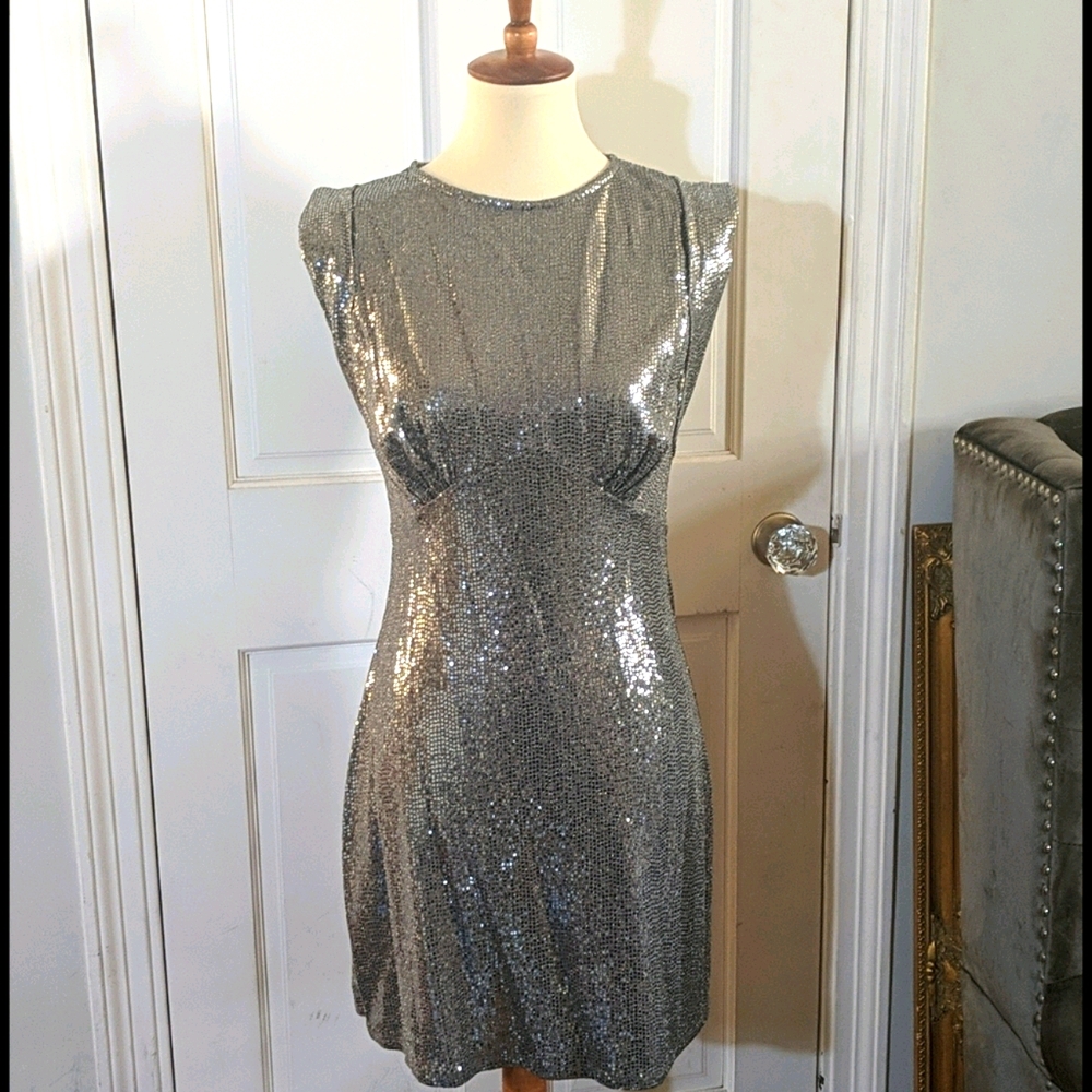 NWT: Zara Sparkly Silver Dress